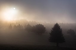En automne