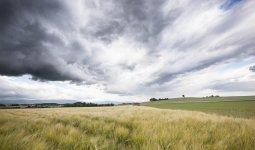 IMG_2802