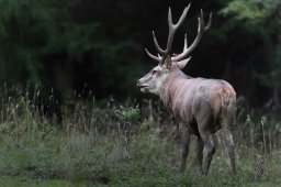 194A0541_DxO-Modifier-2