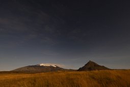 F09A7533