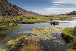 Landmannalaugar_1572