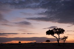 IMG_1085