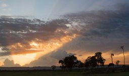 IMG_7599