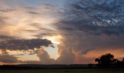 IMG_7616