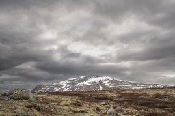DSC_0223