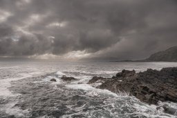 DSC_4535