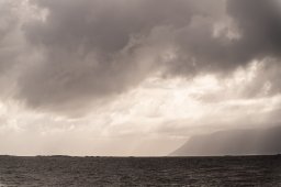 DSC_4545