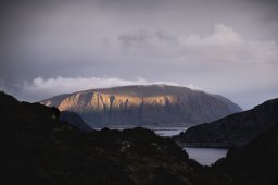 DSC_6531