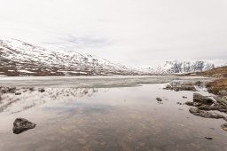 DSC_6541