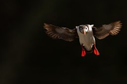 DSC_4983-Modifier