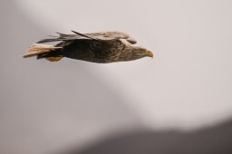 DSC_1039