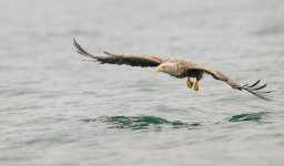 DSC_4505-Modifier