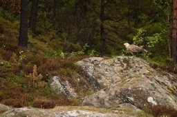 DSC_4605
