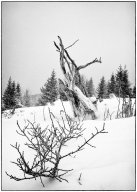 IMG_5766_Modifier