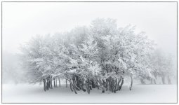 paysage_jurassien_