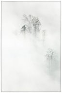paysage_jurassien__1