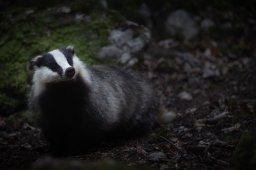 194A5138_DxO