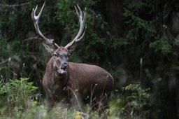 194A0413_DxO-Modifier