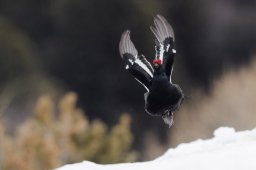 305A9337-2_DxO