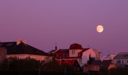 Reykjavik