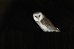 194A3966_DxO