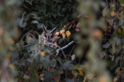 305A0253_DxO