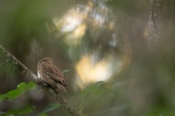 DSC_5704