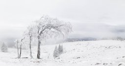 8X8A9832_Panorama_Modifier