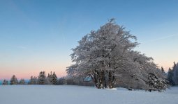 D_but_de_journ_e_hivernale_au_Creux_du_Van_7504