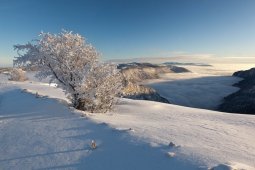D_but_de_journ_e_hivernale_au_Creux_du_Van_7616