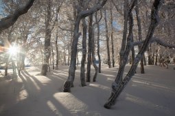 D_but_de_journ_e_hivernale_au_Creux_du_Van_7622