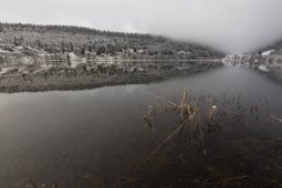 Des paysages familiers