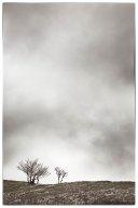 E62C9466_Modifier