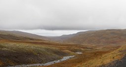 305A2460_Panorama
