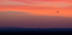 IMG_4949_2