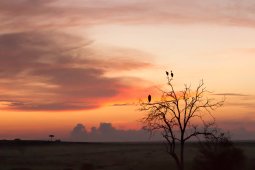 IMG_6441