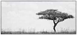 IMG_6755_Modifier