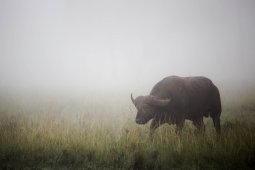E62C8227
