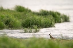 dsc_5911