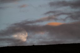 DSC_6751