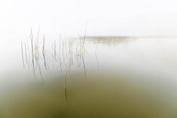 Lacs et étangs du Jura