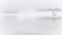 _Group_3_8X8A0155_8X8A0161_7_images