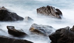 Es_Freus_4772